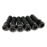 VIS DE POTENCE SALT SOLID NOIR (X6)